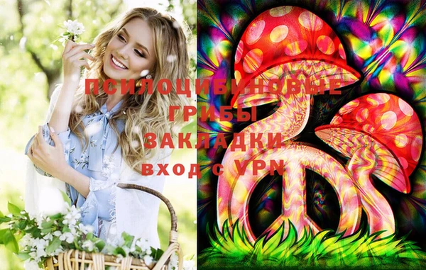 гидра Белоозёрский