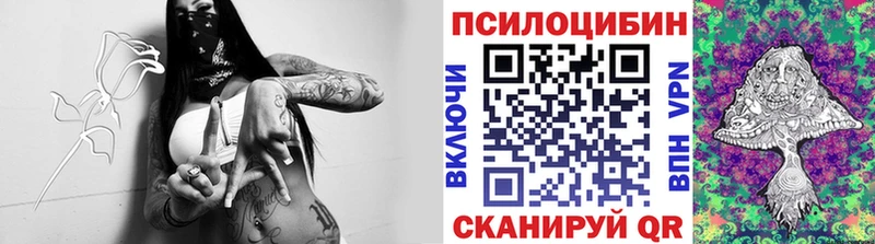 дарнет шоп Комсомольск Псилоцибиновые грибы Magic Shrooms